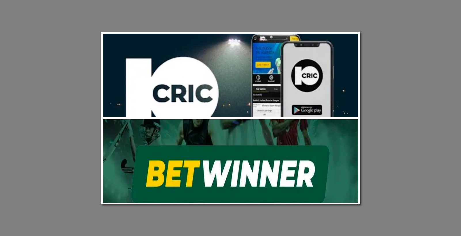 10cric Affiliate vs Betwinner Partner Program: Who is Best?